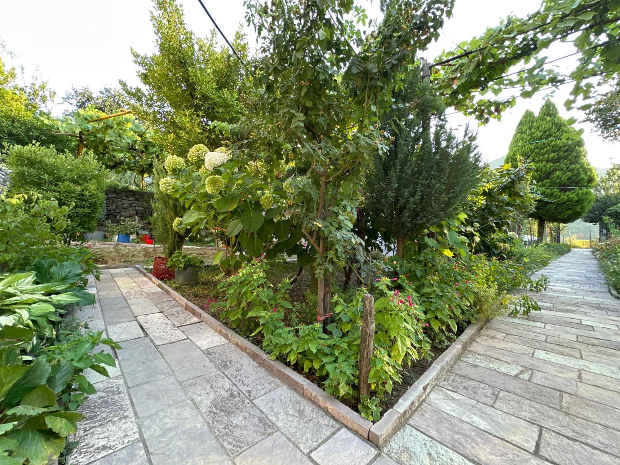 Lakeview Escape Koman Exterior photo